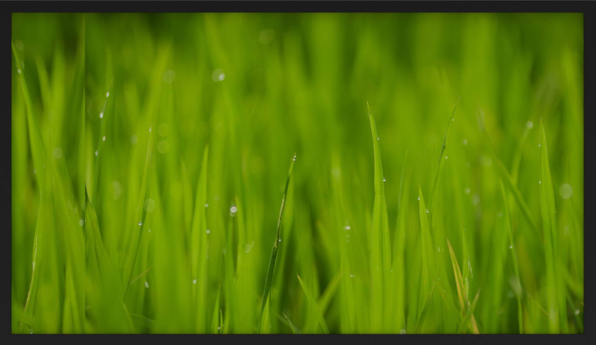 Wasserdichter Fernseher