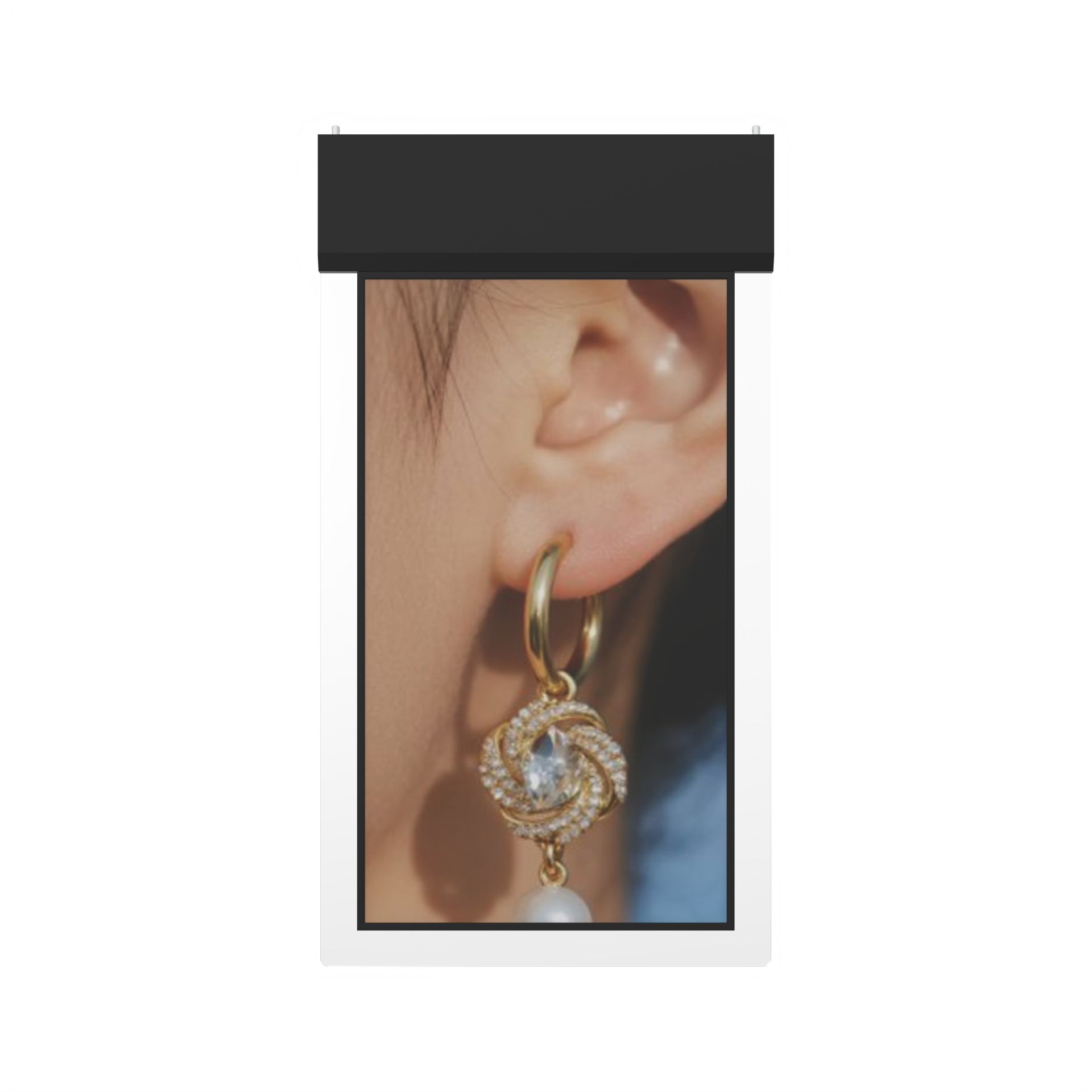 Dual-screen hanging vertical screen - BL model advertising machine