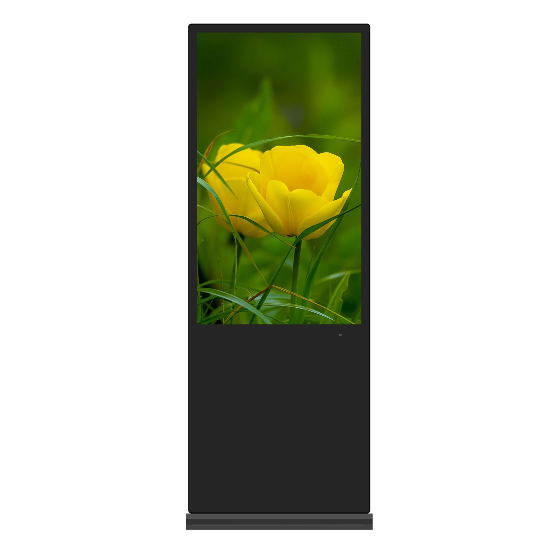 49-inch vertical capacitive touch advertising machine