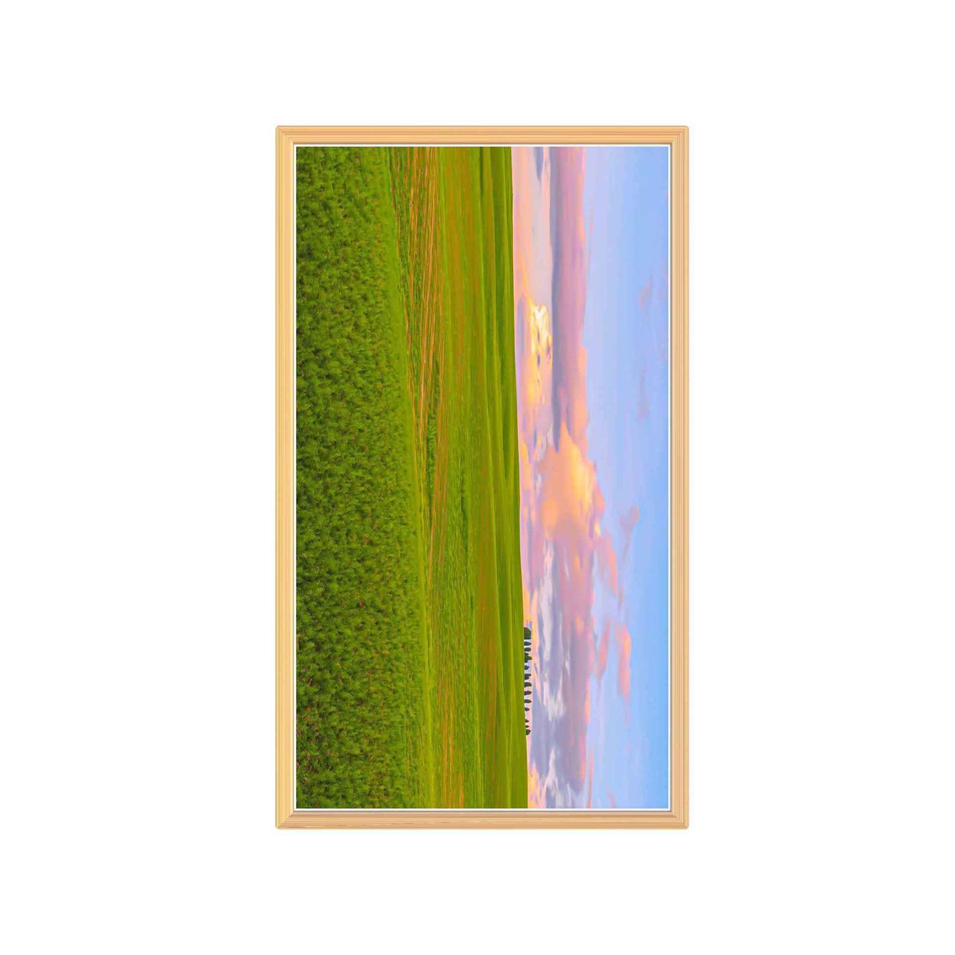Standard Wall-mounted - Picture Frame - A1 Model