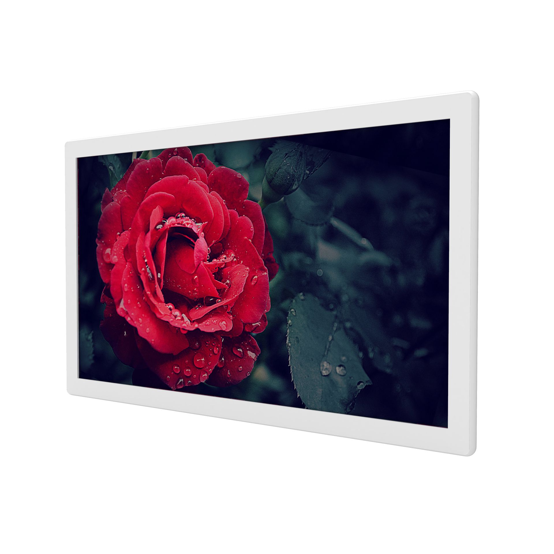 32-Zoll-Wandmontage-Standard-Werbedisplay